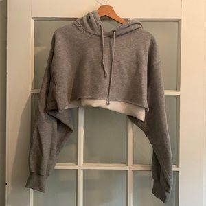 Aritzia TNA cozyAF cropped cut hoodie sweatshirt gray medium